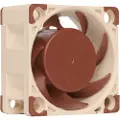 Noctua NF-A4x20 FLX - Kabinettvifte - 40 mm