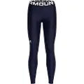 Under Armour Heatgear Authentics Leggings