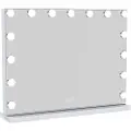 Uniq XL Hollywood Vanity Mirror with 15 LED lights
