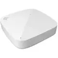 Extreme networks Ap305c-wr 2x2 Radios 5ghz1xgbe Wifi-tilgangspunkt