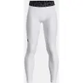 Under Armour Heatgear Armour Leggings