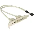 DeLOCK - USB-panel - 10-pins USB-kontakt (hann) til USB (hunn) - 30 cm