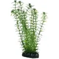 Usorteret Dohse Lagarosiphon, 34 cm