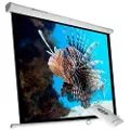 Phoenix Technologies 135´´ Elektrisk Projeksjonsskjerm 2.4x2.4 M