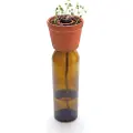 Adlibris Bottle Planter Kikkerland