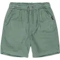 Quiksilver Taxer Cord Kids Shorts grønn