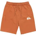 Quiksilver Easy Day Sports Shorts