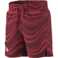 Adidas Pro Shorts