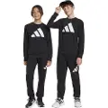 Adidas Essentials Joggers Sett