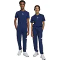 Adidas Essentials Big Logo Joggers