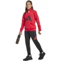 Adidas Essentials Big Logo Climacool Treningsdress
