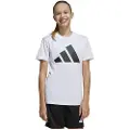 Adidas Essentials Tee Sett