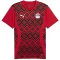Puma Egypt 24/25 Før Kamp Kortarmet T-skjorte