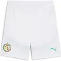 Puma Senegal 2025 Shorts Men, Clothing, White/Sport Green, XXL