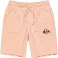 Quiksilver Easy Day Sports Shorts