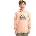 Quiksilver Big Logo Hettegenser