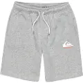 Quiksilver Easy Day Sports Shorts