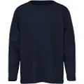 Name it Normal Passform Langermet Topp