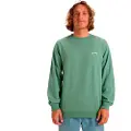 Billabong Arch Cr Collegegenser
