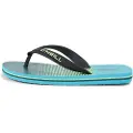 O'Neill Profile Graphic Flip-flops