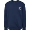 Hummel Rush Collegegenser