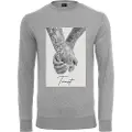 Mister tee Trust 2.0 Collegegenser