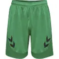 Hummel Lead Poly Shorts