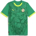 Puma Senegal 2025 Away Jersey Men, Clothing, Sport Green/Electric Lime, 3XL