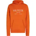 Tommy Hilfiger Big Hettegenser