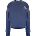 SikSilk Graphic Collegegenser