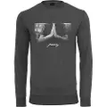 Mister tee Pray Collegegenser