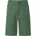 Vaude Badile Ii Shorts