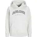 Jack & Jones Caleb Varsity Hettegenser