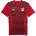 Puma Egypt Pre-match Jersey Men, Clothing, Red/Black, XL
