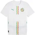 Puma Senegal 2025 Home Jersey Men, Clothing, White/Sport Green, 3XL