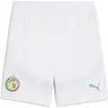 Puma Senegal 2025 Shorts Men, Clothing, White/Sport Green, XL