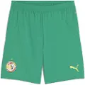 Puma Senegal 2025 Shorts Men, Clothing, Sport Green/Electric Lime, XXL