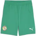 Puma Senegal 2025 Shorts Men, Clothing, Sport Green/White, 3XL