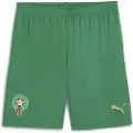 Puma Morocco 2025 Shorts Men, Clothing, Archive Green/Red, S
