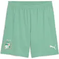 Puma Ivory Coast 2025 Shorts Men, Clothing, Jade Frost/White, XXL