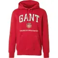 Gant Graphic Hettegenser