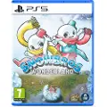 Clear River Games Ps5 Snow Bros Wonderland