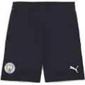 Puma Manchester City Fc 24/25 Shorts