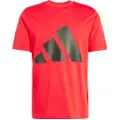Adidas Essentials Big Logo Kortarmet T-skjorte