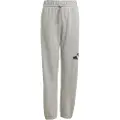Adidas Essentials Big Logo Joggers