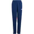 Adidas Tiro 25 Essentials Woven Bukser
