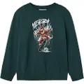 Name it Normal Passform Sweatshirt