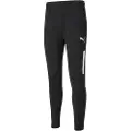 Puma Spodnie teamLIGA Training Pro 03 r. M