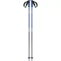 Salomon Polar Pro Spaserstokker