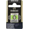 Taidepiste Watercolour Pan Permanent Yellowish Green 633